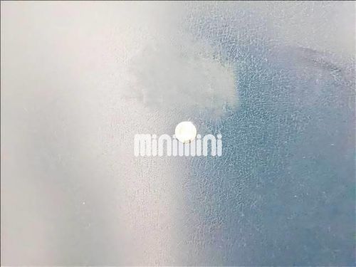 ネバーランド パートⅠのその他画像