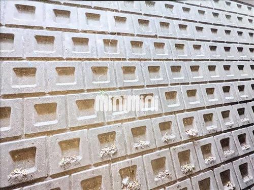 ネバーランド パートⅠのその他画像