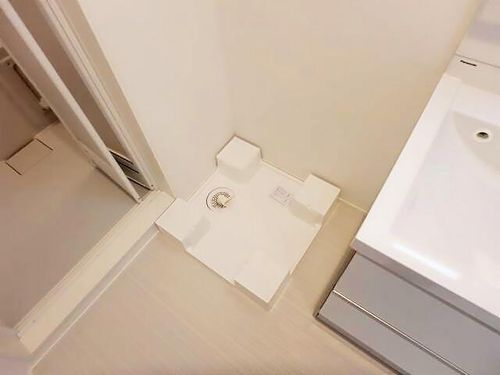 カーサルピナスティーアールのその他画像