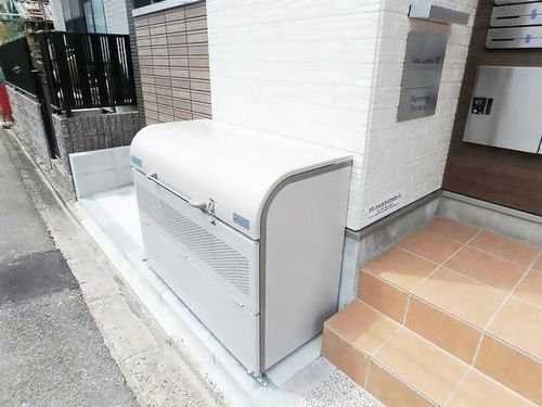 カーサルピナスティーアールのその他画像