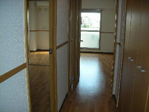 プリマヴェーラのその他画像