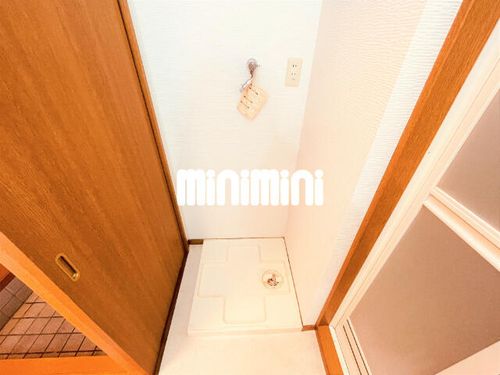 young leavesのその他画像