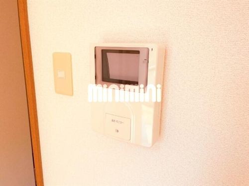 young leavesのその他画像