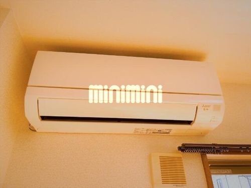 young leavesのその他画像