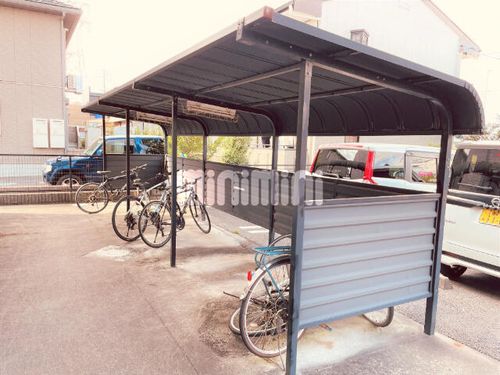 young leavesのその他画像