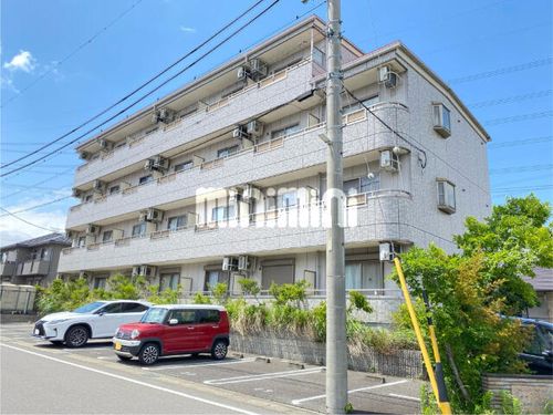 young leavesの外観