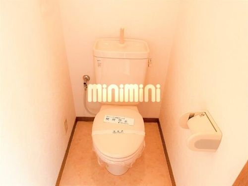 young leavesの内装