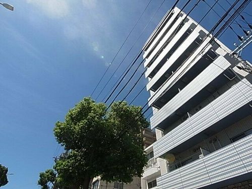 兵庫県神戸市須磨区戸政町1丁目(マンション)の賃貸物件の外観