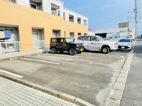 オレンジペコのその他画像