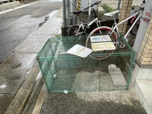 シャトー塩池のその他画像