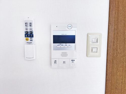 マジェスティシロトリのその他画像