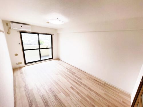 マジェスティシロトリの居間