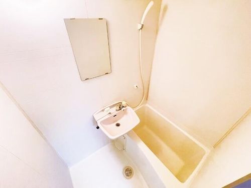 マジェスティシロトリの風呂