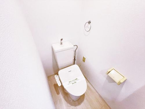 マジェスティシロトリの内装