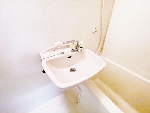 マジェスティシロトリの内装