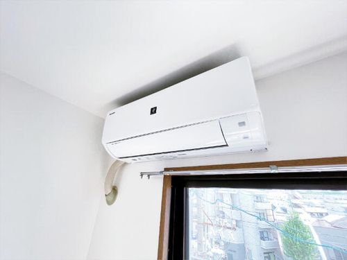 マジェスティシロトリのその他画像