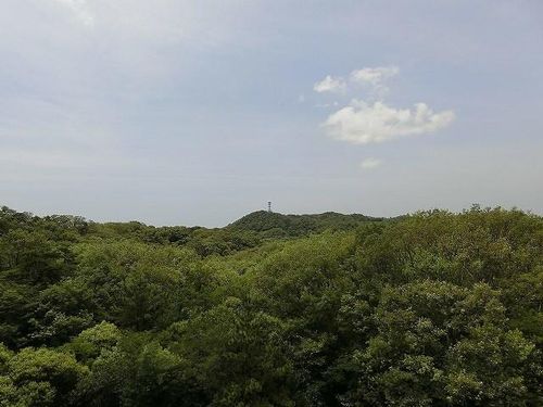 グランドパレス君影のその他画像
