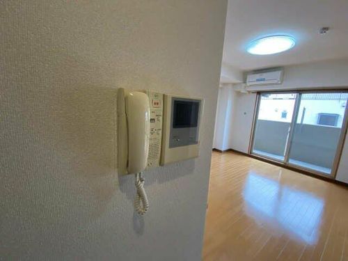 ラピスラズリTNのその他画像