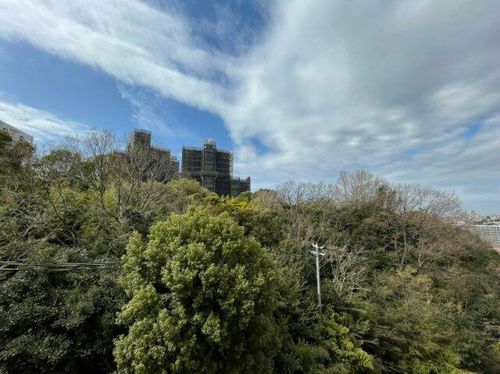 シティハイツ舞子のその他画像