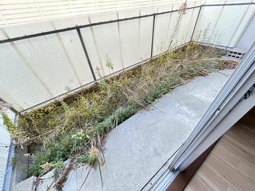 サンハイツ極楽のその他画像