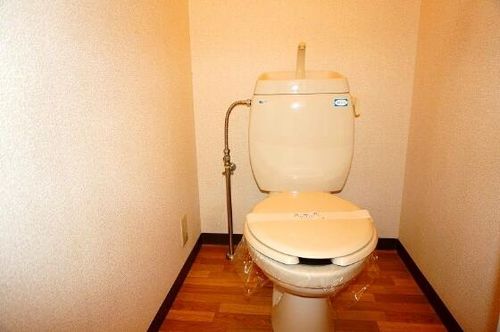 グリーンハイツ二色B棟201の内装