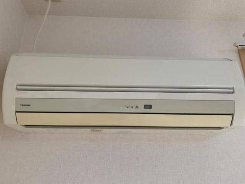 グランドールヒメジのその他画像