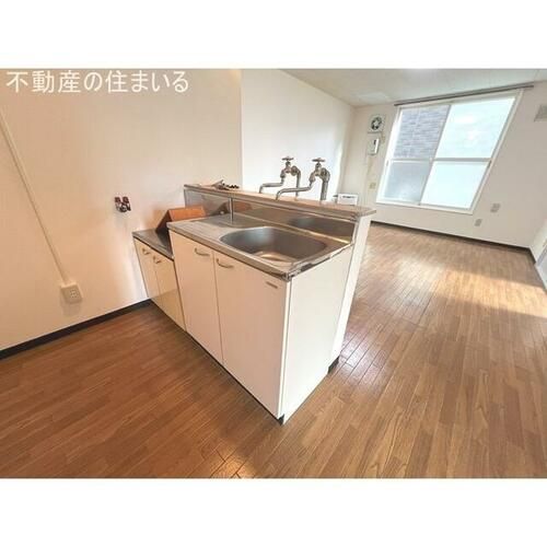 プラザイン川沿のキッチン