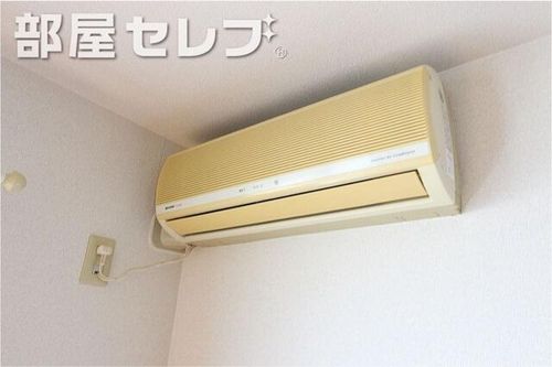 アンプルールフェールシャルマンのその他画像