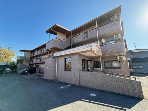 愛知県豊川市本野町西野添(マンション)の賃貸物件305の玄関