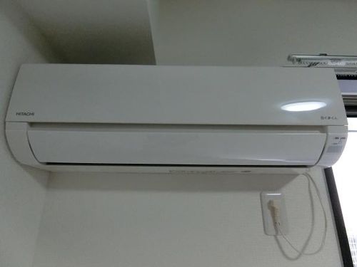 ステラウッド家の森のその他画像