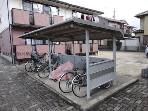 エヴァーグリーンのその他画像