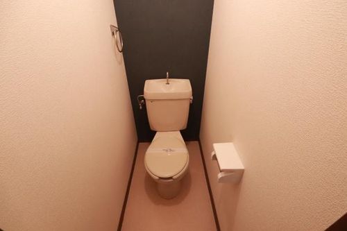 コスモハイツ中央102の内装
