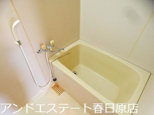 福岡県春日市白水ヶ丘3丁目(アパート)の賃貸物件の風呂