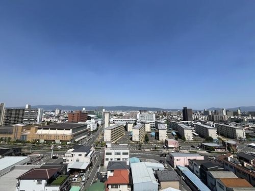 ドムール平野南のその他画像