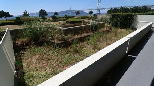 パラッシオ舞子のその他画像