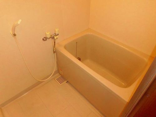 大林マンション203の風呂