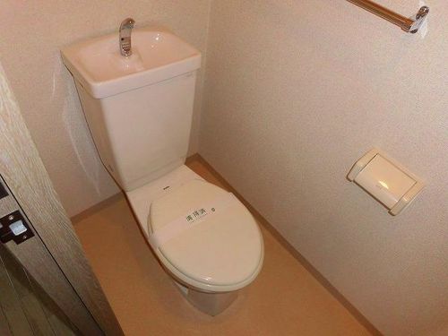 大林マンション203の内装