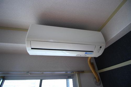 タイガーハウス101のその他画像