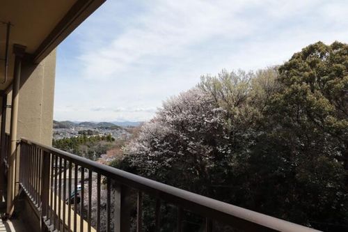 グリーンライフ山ノ沢5Bのその他画像