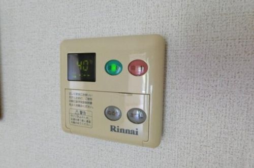 ラピシアBのその他画像