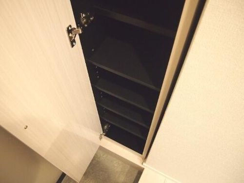 ハーモニーテラス三津屋南の玄関