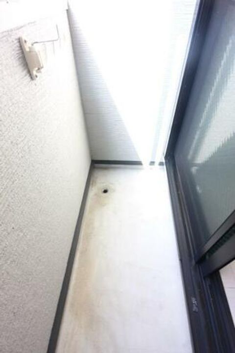 Softlyの内装