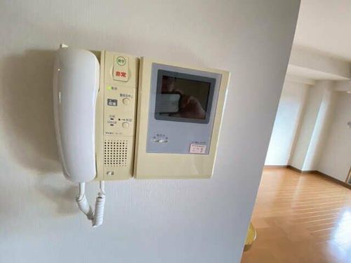 ラピスラズリTNのその他画像