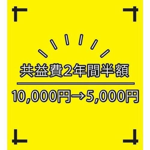 エヌエムキャトフヴァン1FFのその他画像