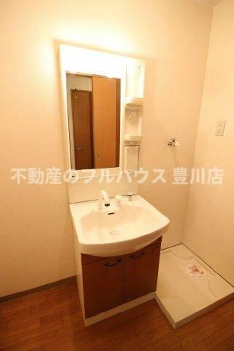 愛知県豊川市三蔵子町西浦(アパート)の賃貸物件203の内装