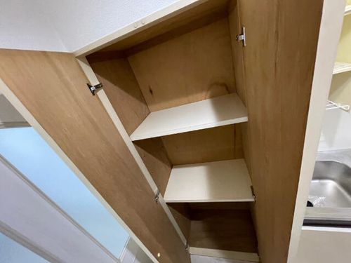 ファーストスプリングの内装