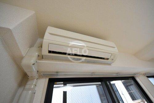 サザン長柄のその他画像