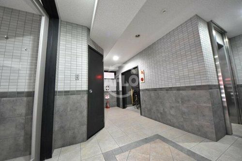 サザン長柄のその他画像