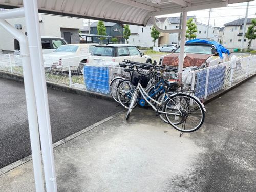 スプリング・フィールドのその他画像