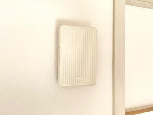 カンテイシダのその他画像